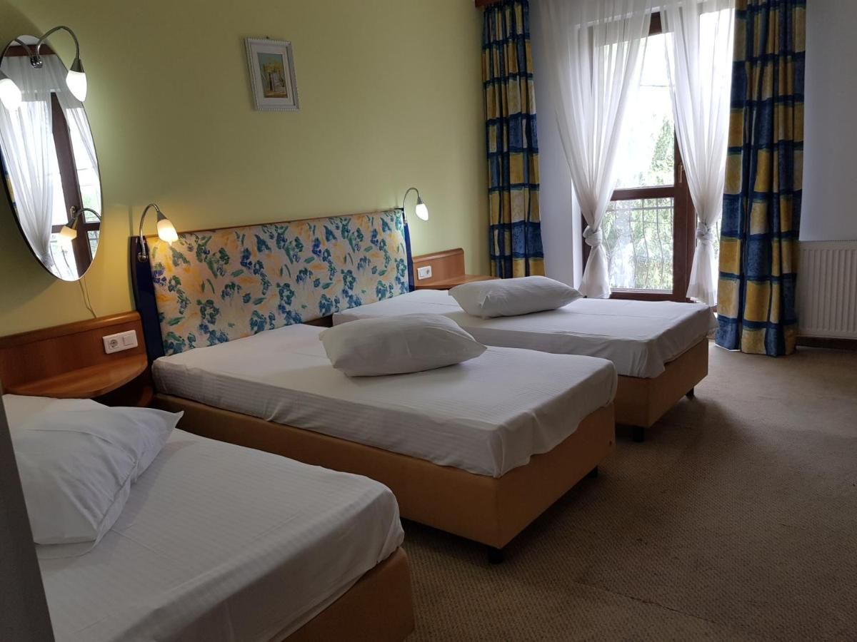 Отель Hotel Doi Taurasi Afumaţi