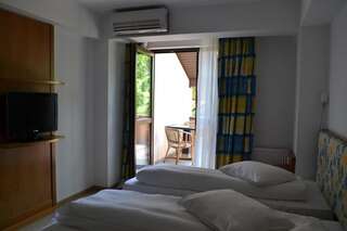 Отель Hotel Doi Taurasi Afumaţi Двухместный номер с 2 отдельными кроватями-7